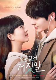 tvN O.S.T My Lovely Liar